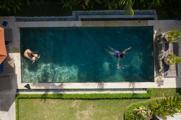 Des plantes idéales et tendance pour sublimer les abords de votre piscine